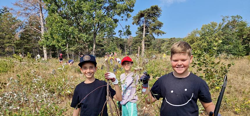 Kinder bei der Arbeit in der Natur