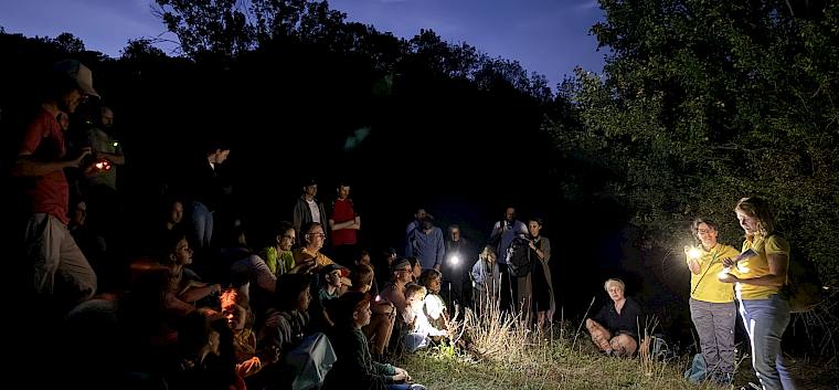 Biologin Bianca gibt spannende Einblicke in das Leben der Tiere der Nacht. © LPV/E. Weisz-Emesz Menschen bei Nachtführung