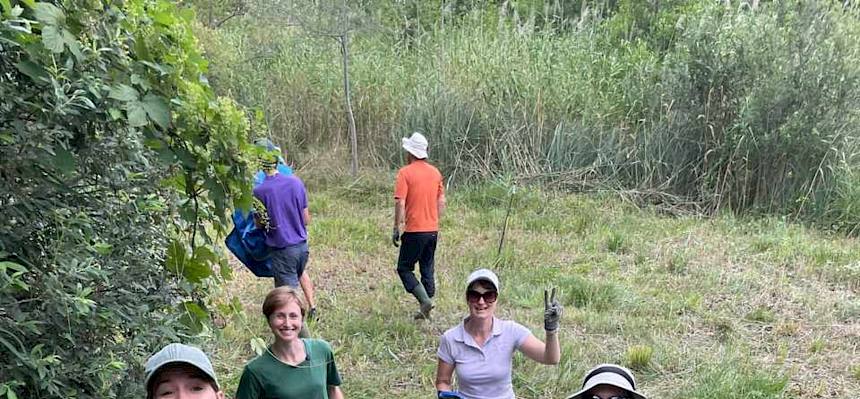 Volunteers tragen Plane