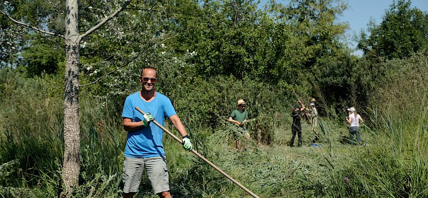 Volunteers rechen Mähgut zusammen