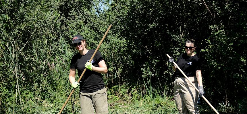 Volunteers rechen Mähgut zusammen