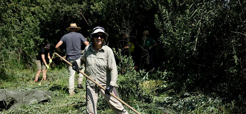 Volunteers rechen Mähgut zusammen