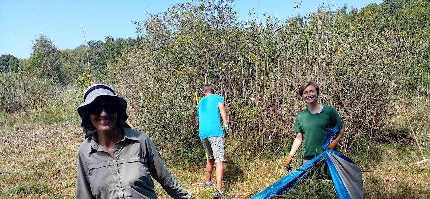 Volunteers tragen Plane