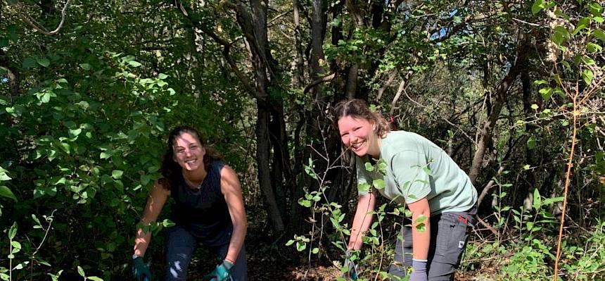 Menschen arbeiten in der Natur