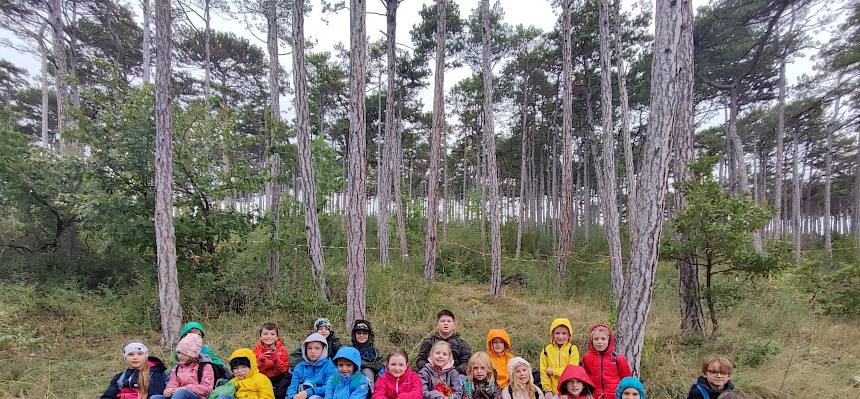 Gruppenfoto Schulklasse