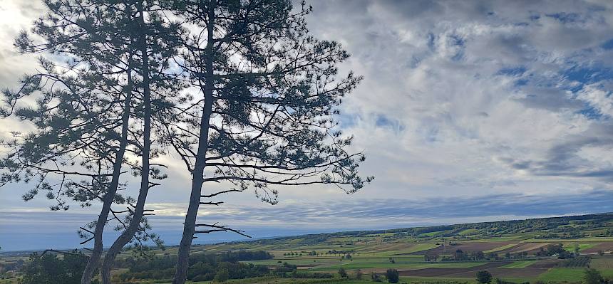 Landschaft