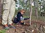 Unser junger fleißiger Helfer durfte unter fachkundiger Aufsicht zur Säge greifen und machte sein Aufgabe hervorragend. © LPV/O. Gollong Kind sägt Baum um