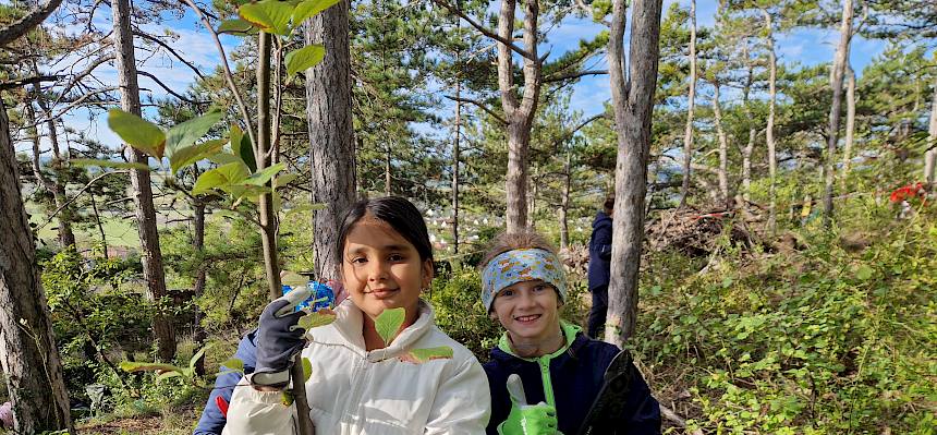 Kinder in der Natur