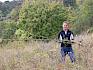 Eschen wurden samt Wurzeln ausgehackt. © LPV/F. Hohn Mann trägt Baum