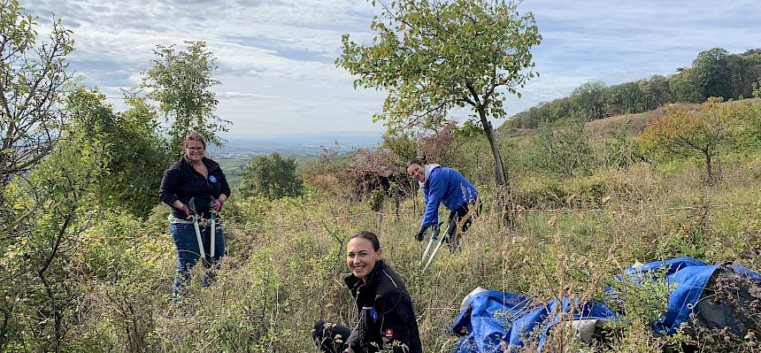 Menschen arbeiten in der Natur