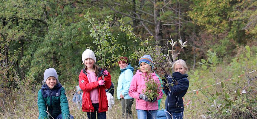 Kinder in der Natur