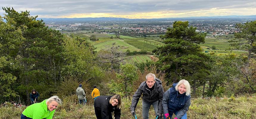 Menschen bei der Trockenrasenpflege