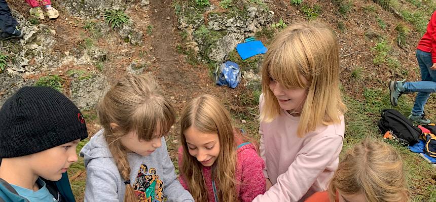 Schüler:innen entdecken Tiere des Trockenrasen