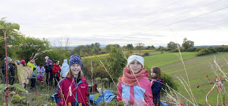 Heute unterstützten uns 37 Schüler:innen der 2a und 3c der VS Leobersdorf bei der Pflege des Naturdenkmal Trockenrasen am Lindenberg. © LPV/L. Strobl Schüler:innen bei der Trockenrasenpflege in Leobersdorf