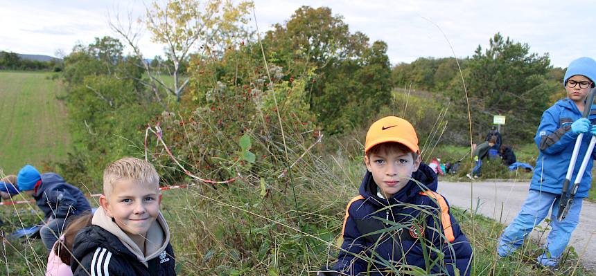 Schüler:innen im Naturdenkmal Trockenrasen am Lindenberg