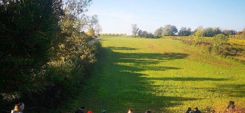 Landschaftspflege in Leobersdorf