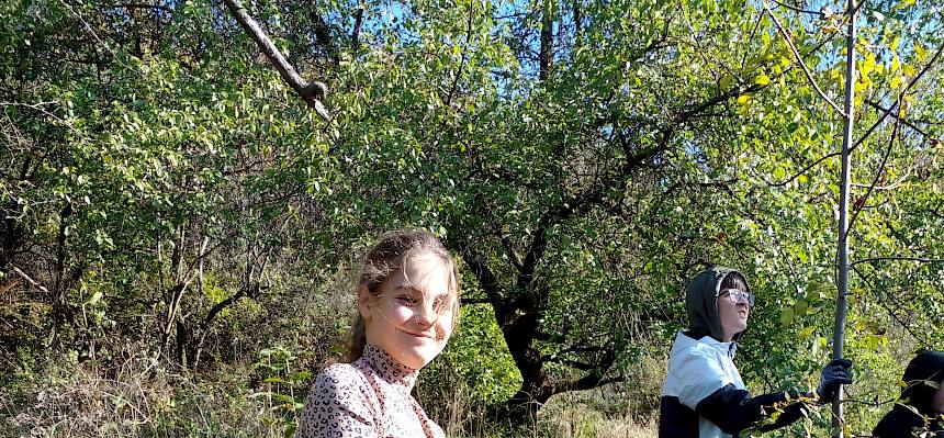 Schüler:innen bei Landschaftspflege in Leobersdorf