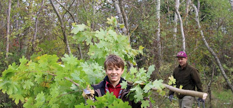 Kleine Bäume wurden umgesägt um wertvolle, offene Fläche für den Trockenrasen zurückzugewinnen. © LPV/F. Hohn Trockenrasenpflege