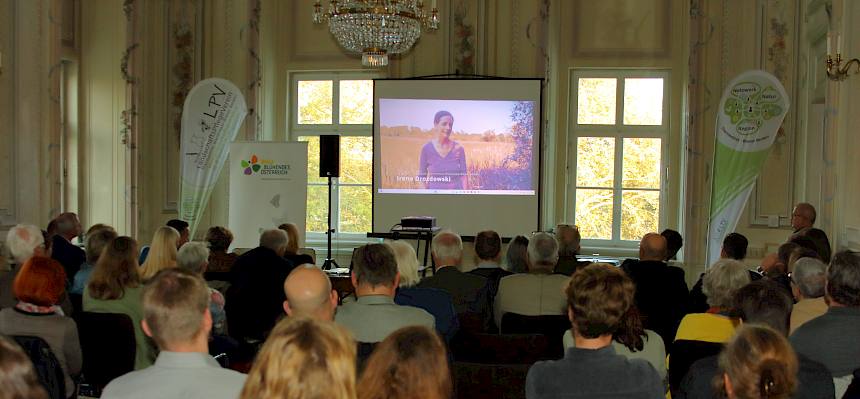 Publikum vor Leinwand