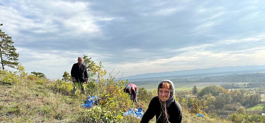 Menschen bei der Arbeit in der Natur