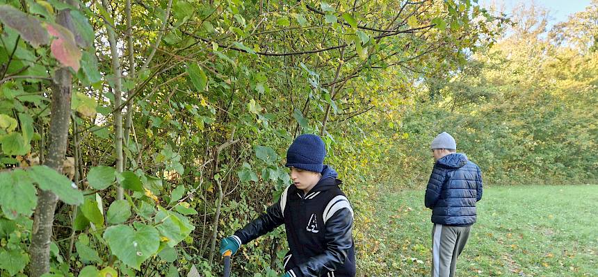 Schüler:innen schneiden Waldränder