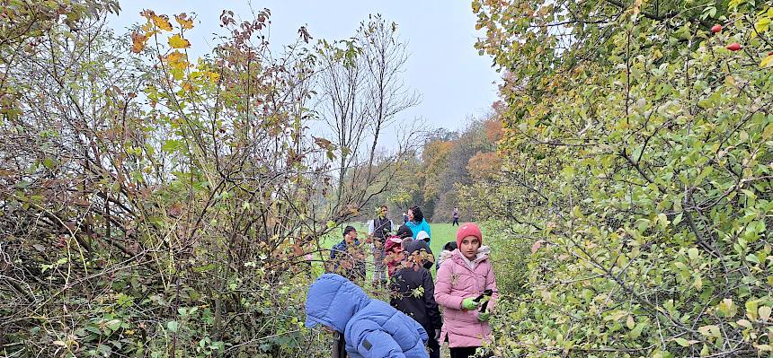 Schüler:innen bei der Landschaftspflege