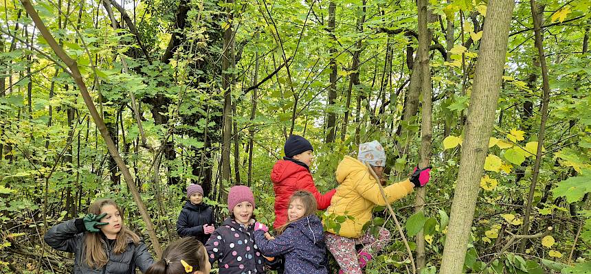 Schüler:innen bei Landschaftspflege