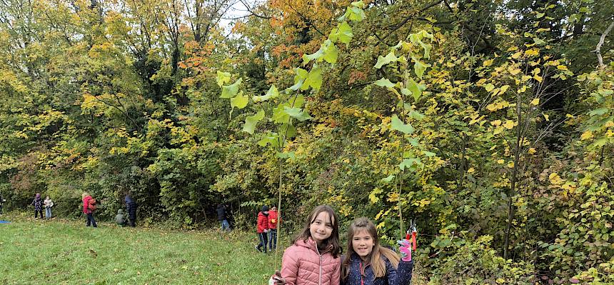 Schüler:innen bei Landschaftspflege am Bisamberg