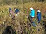 Ausgerüstet mit Handschuhen, Scheren und kleinen Kramperln ging es den invasiven Pflanzen an den Kragen. © LPV/I. Wrbka-Fuchsig Schüler:innen entfernen invasive Pflanzen