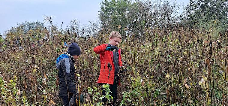 Die Schüler:innen der 1a und 1b der MS Leopoldau waren heute im Einsatz für die biologische Vielfalt. © LPV/A. Haselmair Trockenrasenpflege Alte Schanzen Floridsdorf
