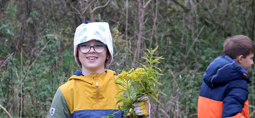 Schüler mit abgeschnittener Goldrute in der Hand