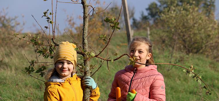64 Schüler:innen waren heute für die Erhaltung der biologische Vielfalt auf den Alten Schanzen im Einsatz. © LPV/F. Hohn Schülerinnen halten abgeschnittenen Ast