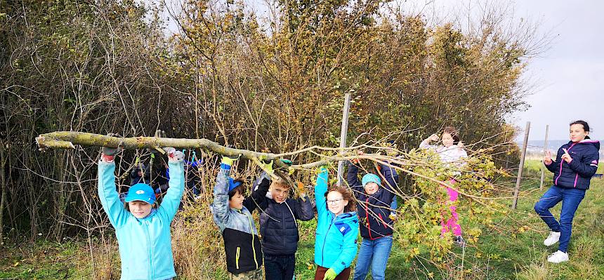 Teamwork bei der Pflege der Alten Schanzen