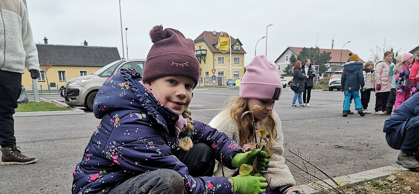 Kinder pflanzen Strauch