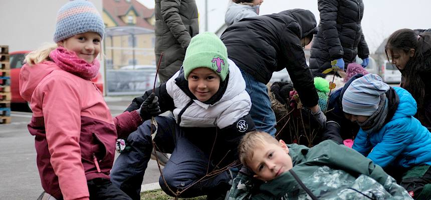 Kinder pflanzen Strauch