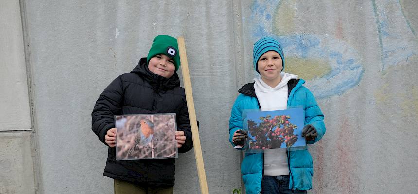 Team Wolliger Schneeball mit gepflanztem Strauch