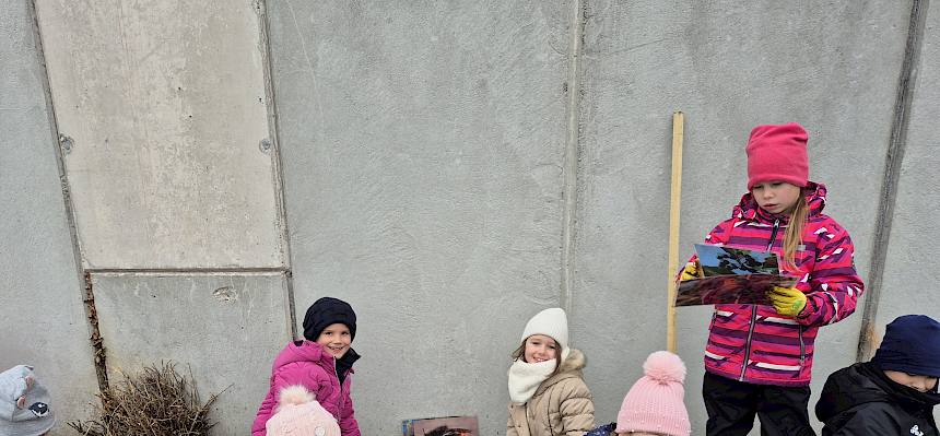 Vorbereitete Pflanzlöcher