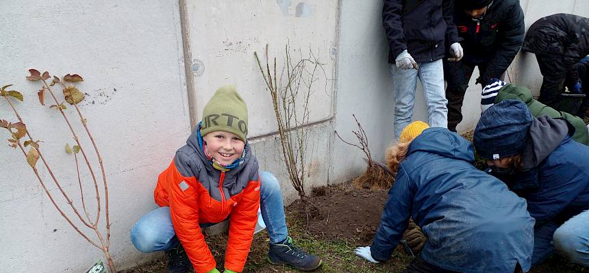 Schüler:innen pflanzen Heckensträucher