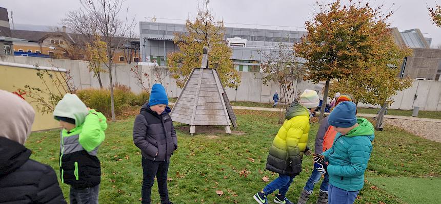 Schüler:innen lernen Unterschied Kraut, Strauch, Baum