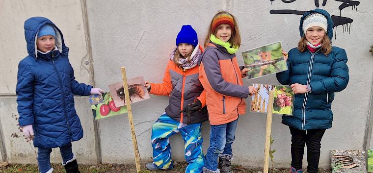 Die 4. Klassen der VS Wiener Neudorf trotzten heute tapfer der feuchten Kälte und pflanzten 40 weitere Heckensträucher im Anningerpark. © LPV/B. Sabek Schüler:innen mit gepflanzten Heckensträuchern