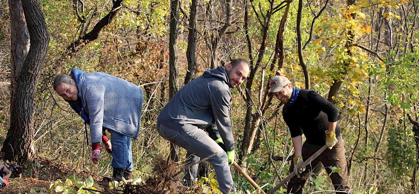 Menschen arbeiten im Wald