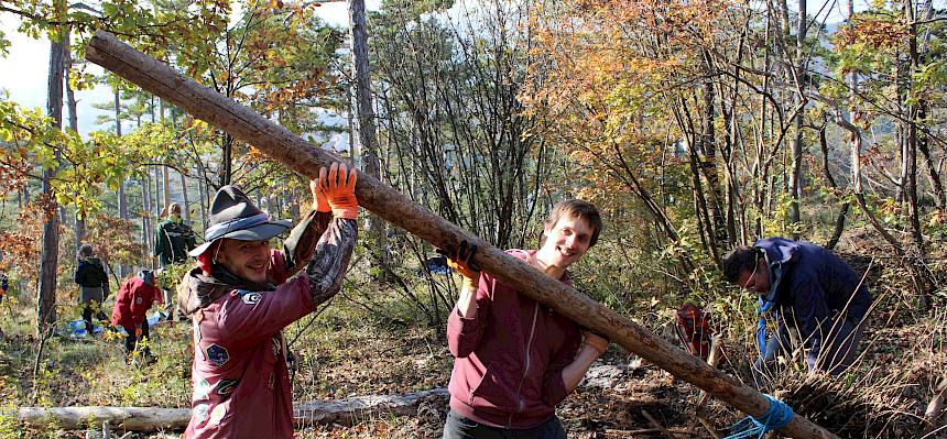 Pfadfinder im Wald bei der Arbeit