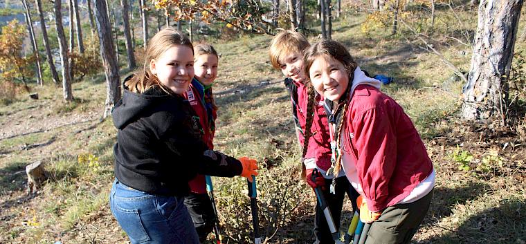 Bei strahlendem Herbstwetter machte den Pfadfinder:innen die Arbeit besonders viel Spaß. © LPV/L. Strobl Pfadfinder:innen bei der Arbeit im Wald