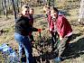 Bei strahlendem Herbstwetter machte den Pfadfinder:innen die Arbeit besonders viel Spaß. © LPV/L. Strobl Pfadfinder:innen bei der Arbeit im Wald