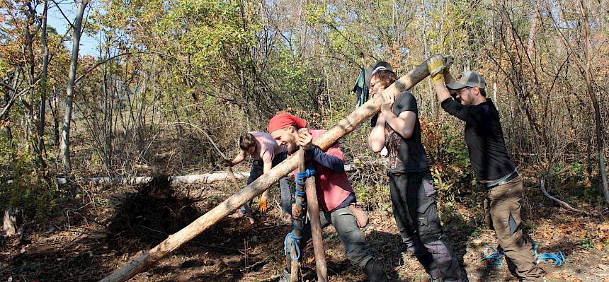 Menschen bei der Arbeit im Wald.