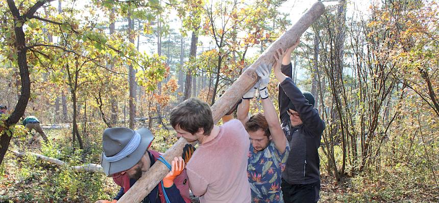 Menschen arbeiten im Wald