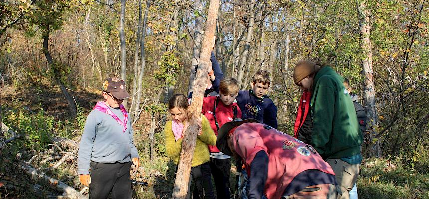 Menschen bei der Arbeit im Wald