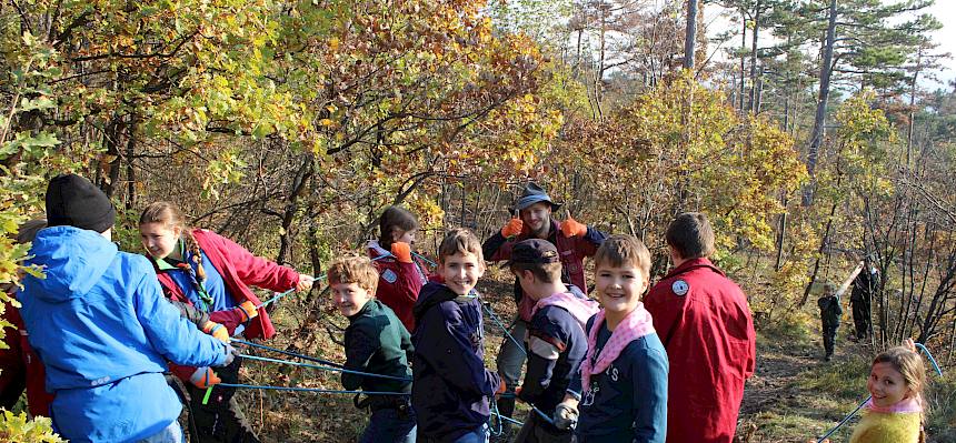 Menschen arbeiten im Wald