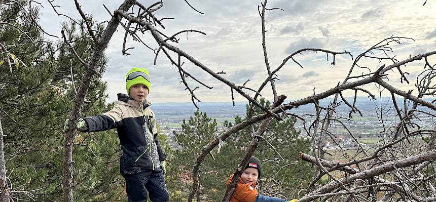 Kinder klettern am Baum