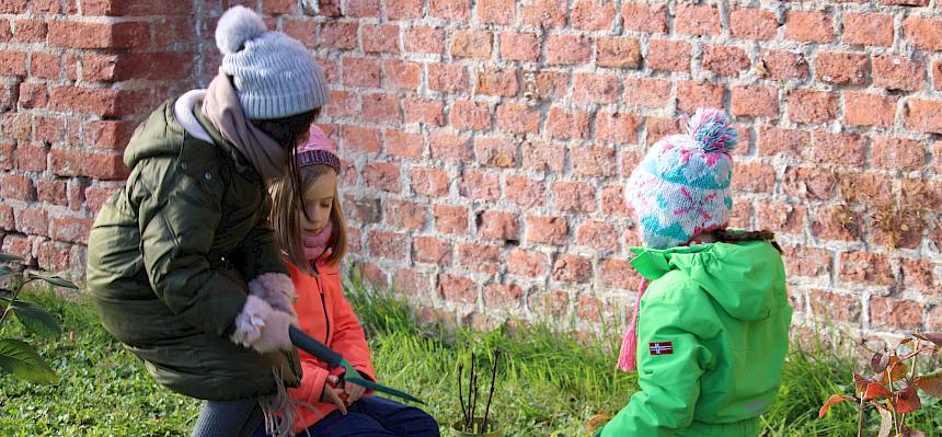 Schüler:innen pflanzen Sträucher im Klosterpark.